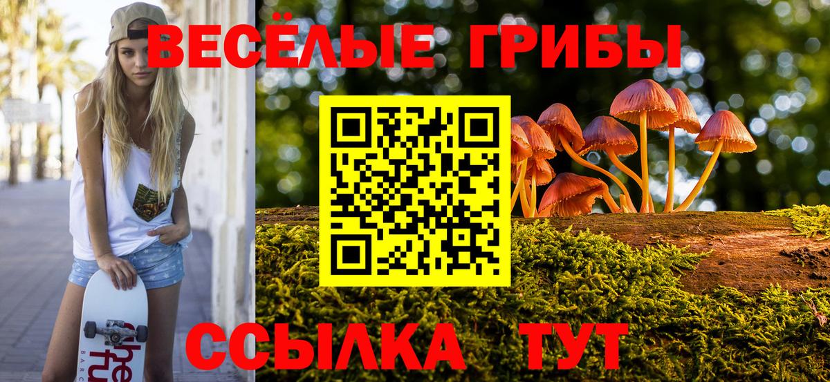 Галлюциногенные грибы Cubensis Мурино