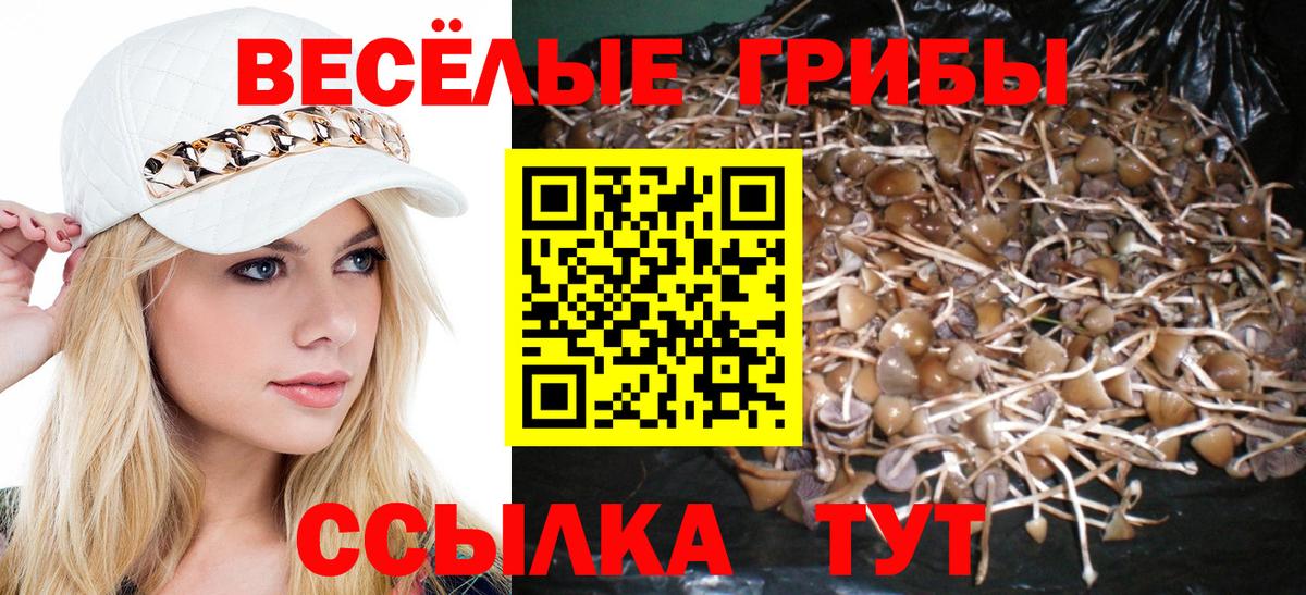 Мурино  Галлюциногенные грибы MAGIC MUSHROOMS  Вход с VPN 
